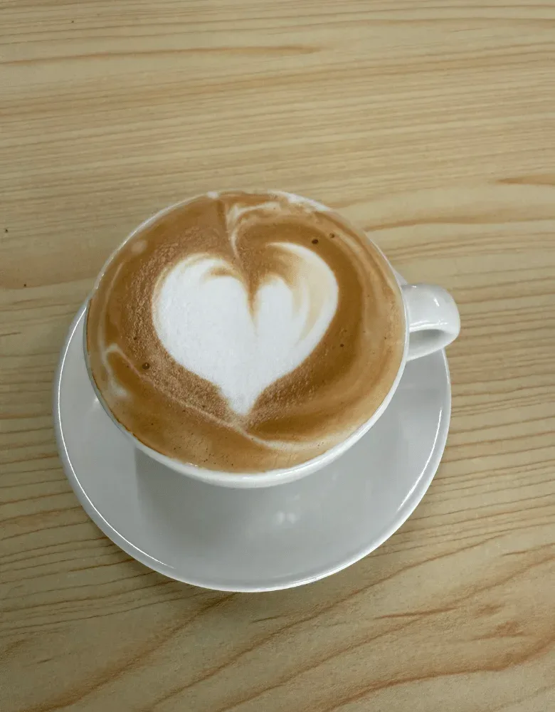 siamese cat cafe coffee
