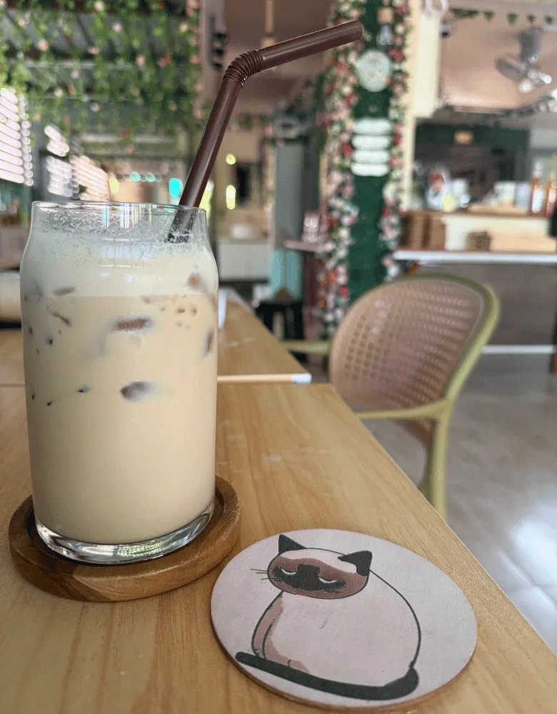Siamese cat Cafe Coffee
